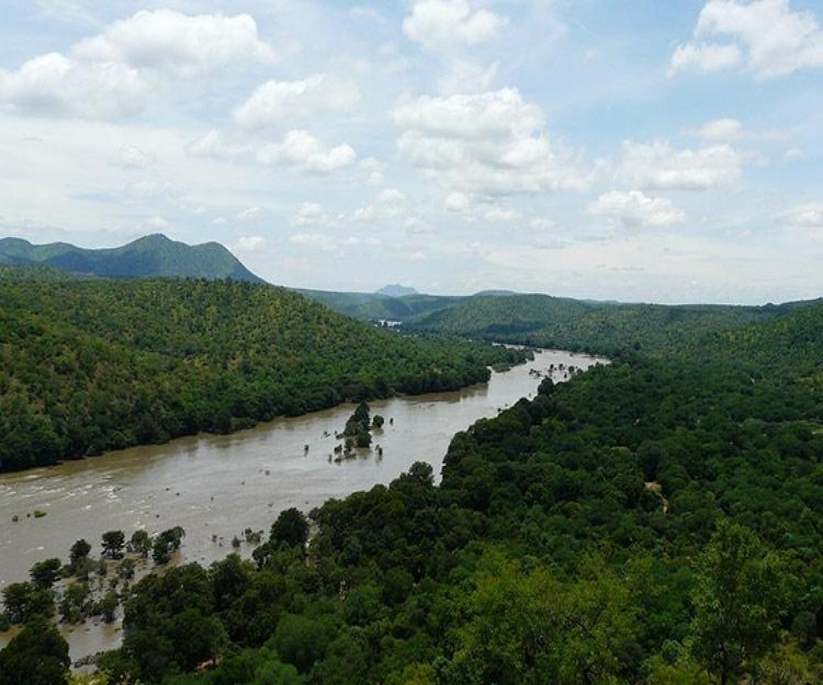 Karnataka, TN demand higher share of water from Godavari-Cauvery link  project | The News Minute