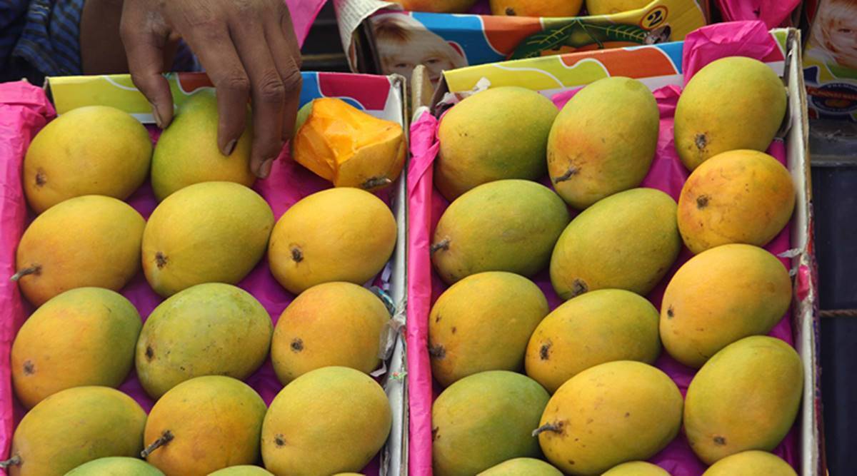 மாம்பழம் வாங்கும்போது கவனிக்க வேண்டியவை - Simple tips for purchasing mangoes