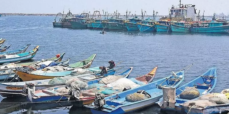 தமிழ்நாடு பட்ஜெட் 2021-22: காசிமேடு மீன்பிடித் துறைமுகத்தை மேம்படுத்த  ரூ.150 கோடி | Rs 150 crore allocated for Kasimedu fishing harbour  development | Puthiyathalaimurai - Tamil News | Latest ...