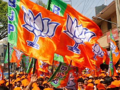 Rajya Sabha Election: BJP's UP surprise, Fields 11 candidates for 10 RS  seats | India News - Times of India