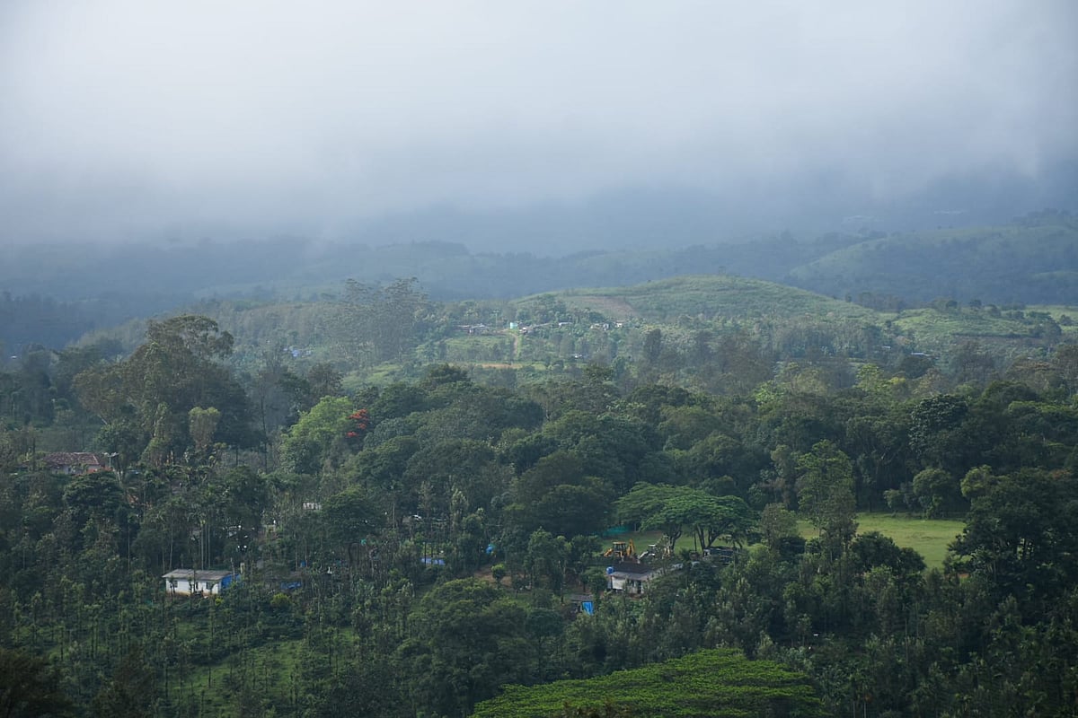 கூடலூர் ஓவேலி வனப்பகுதி