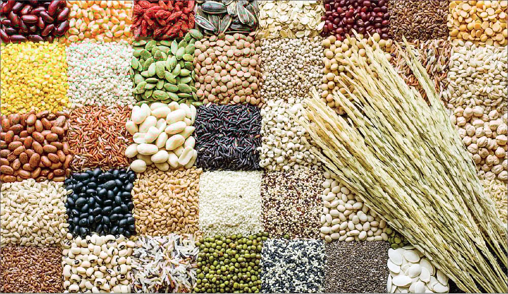 சிறுதானியங்கள்