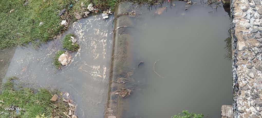 மழைநீர் கால்வாயில் கலக்கும் சாக்கடை நீர்