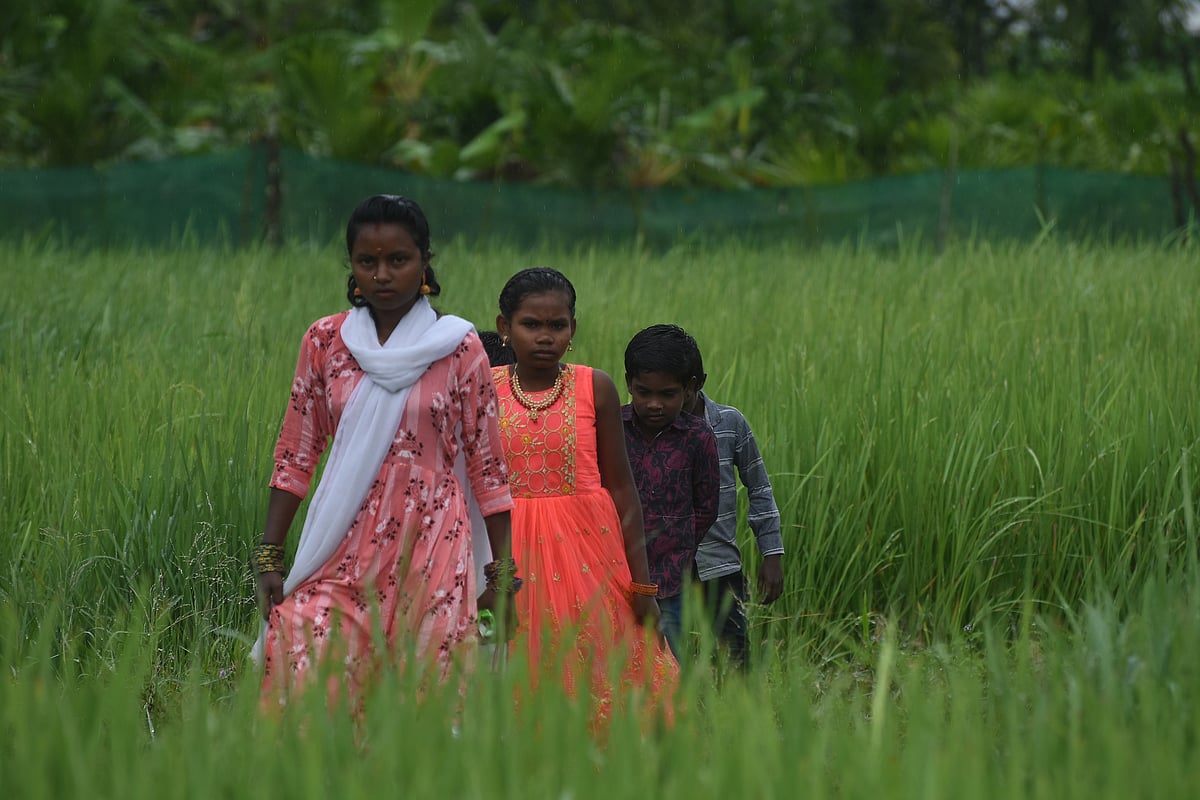புத்தரி அறுவடைத் திருவிழா!