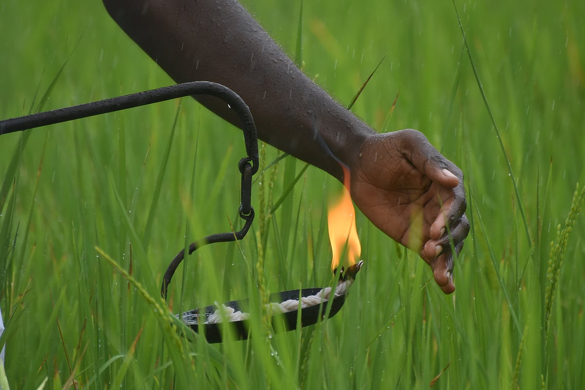 புத்தரி அறுவடைத் திருவிழா!