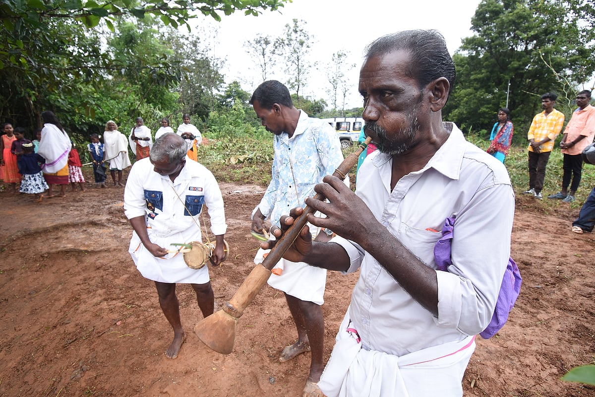 புத்தரி அறுவடைத் திருவிழா!