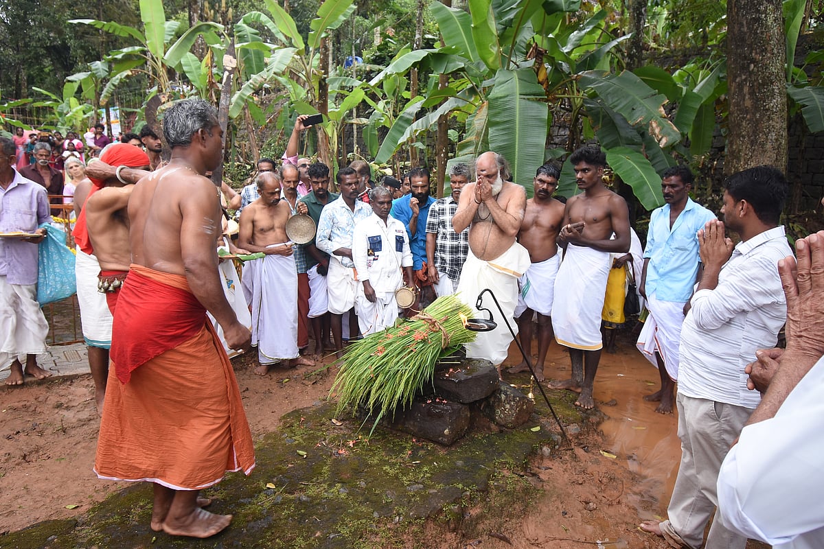 புத்தரி அறுவடைத் திருவிழா!