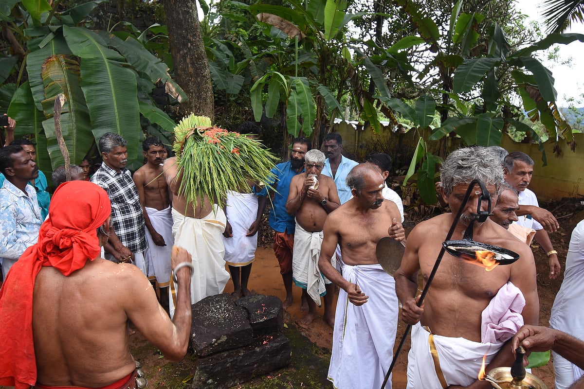 புத்தரி அறுவடைத் திருவிழா!