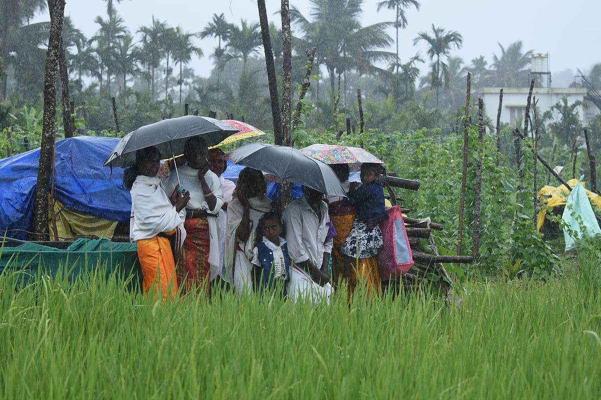 புத்தரி அறுவடைத் திருவிழா!