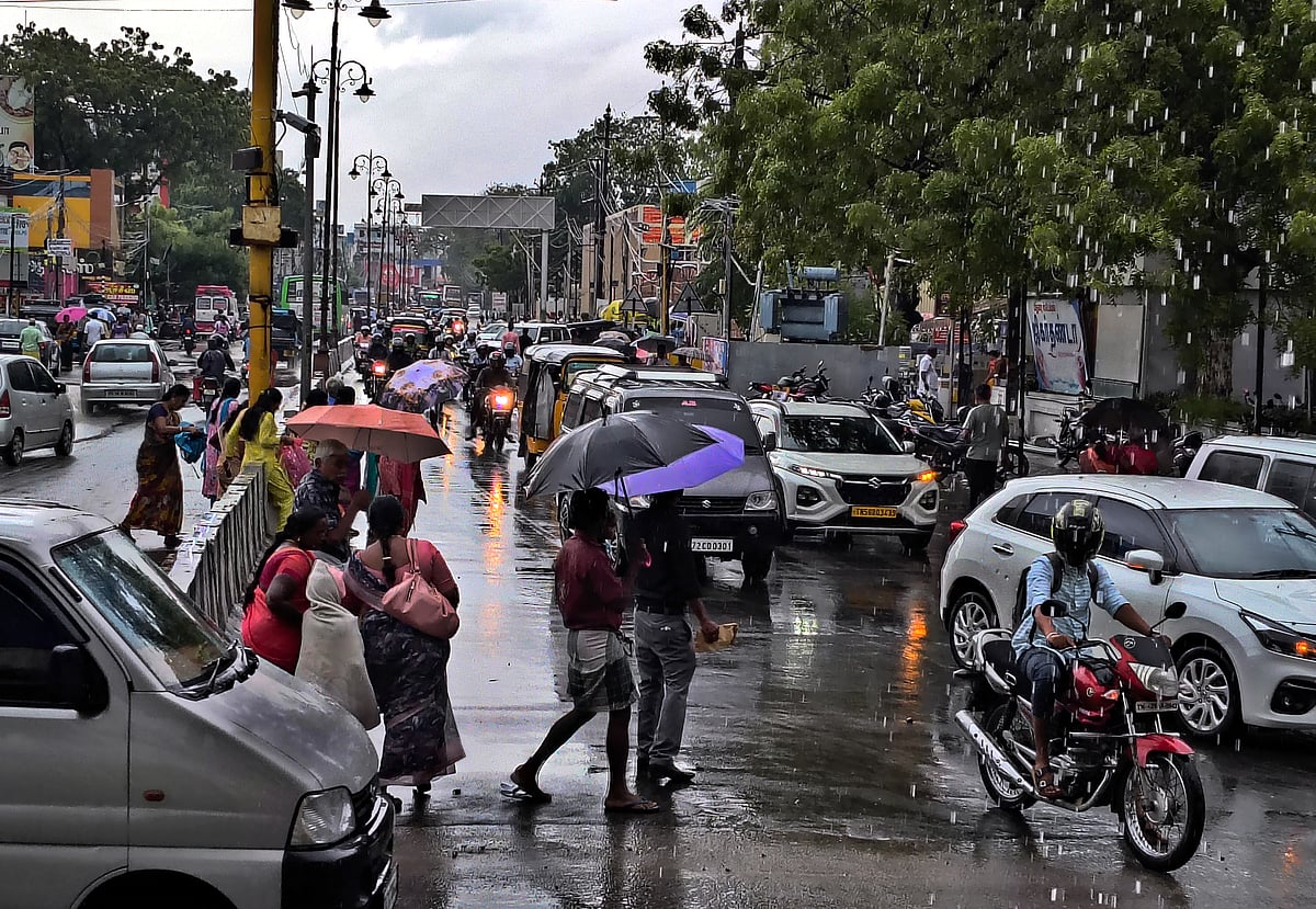 நெல்லையில் பெய்து வரும் தொடர் கனமழை.! சாலைகள், நீர் நிலைகளில் பெருக்கெடுத்து ஓடும் மழை வெள்ளம்.! 
