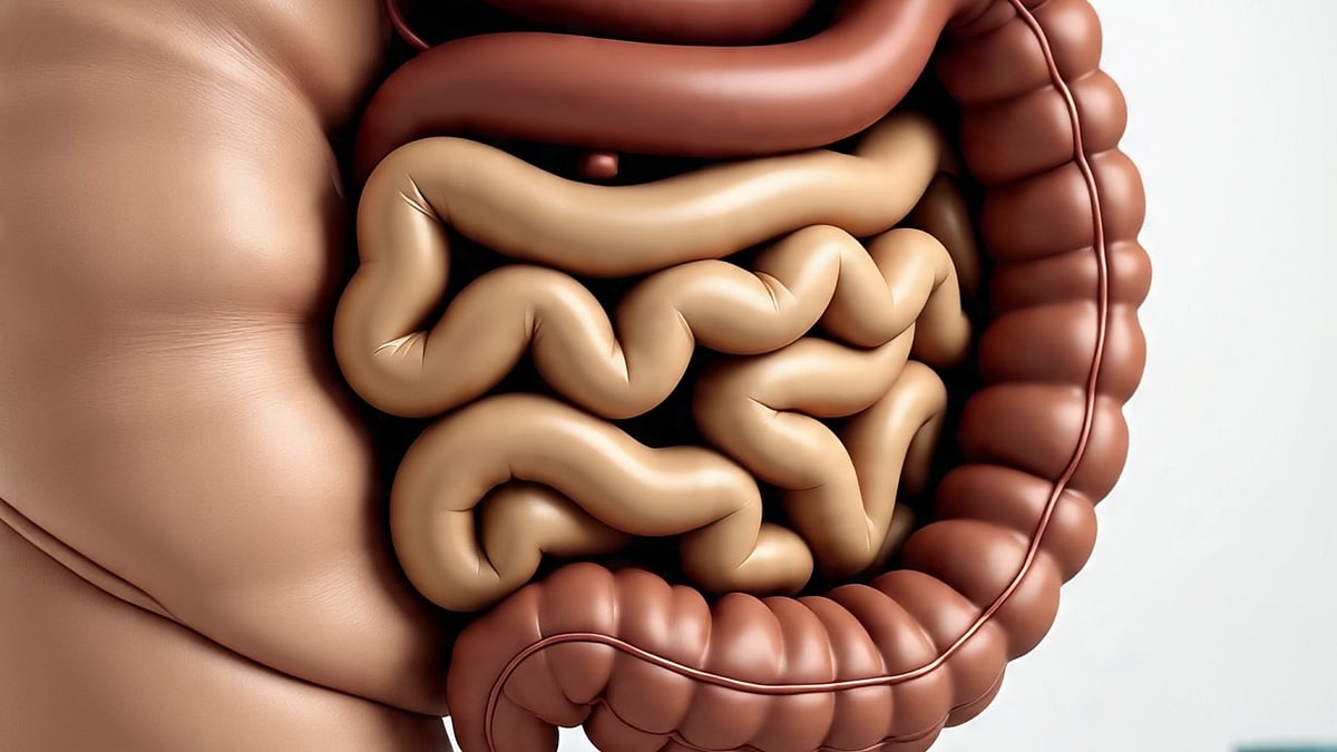 gut health