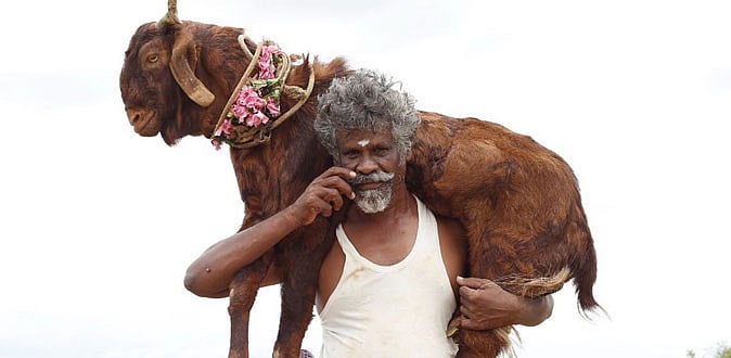 ஒண்டிமுனியும் நல்லபாடனும் விமர்சனம் | Ondimuniyum Nallapadanum Review