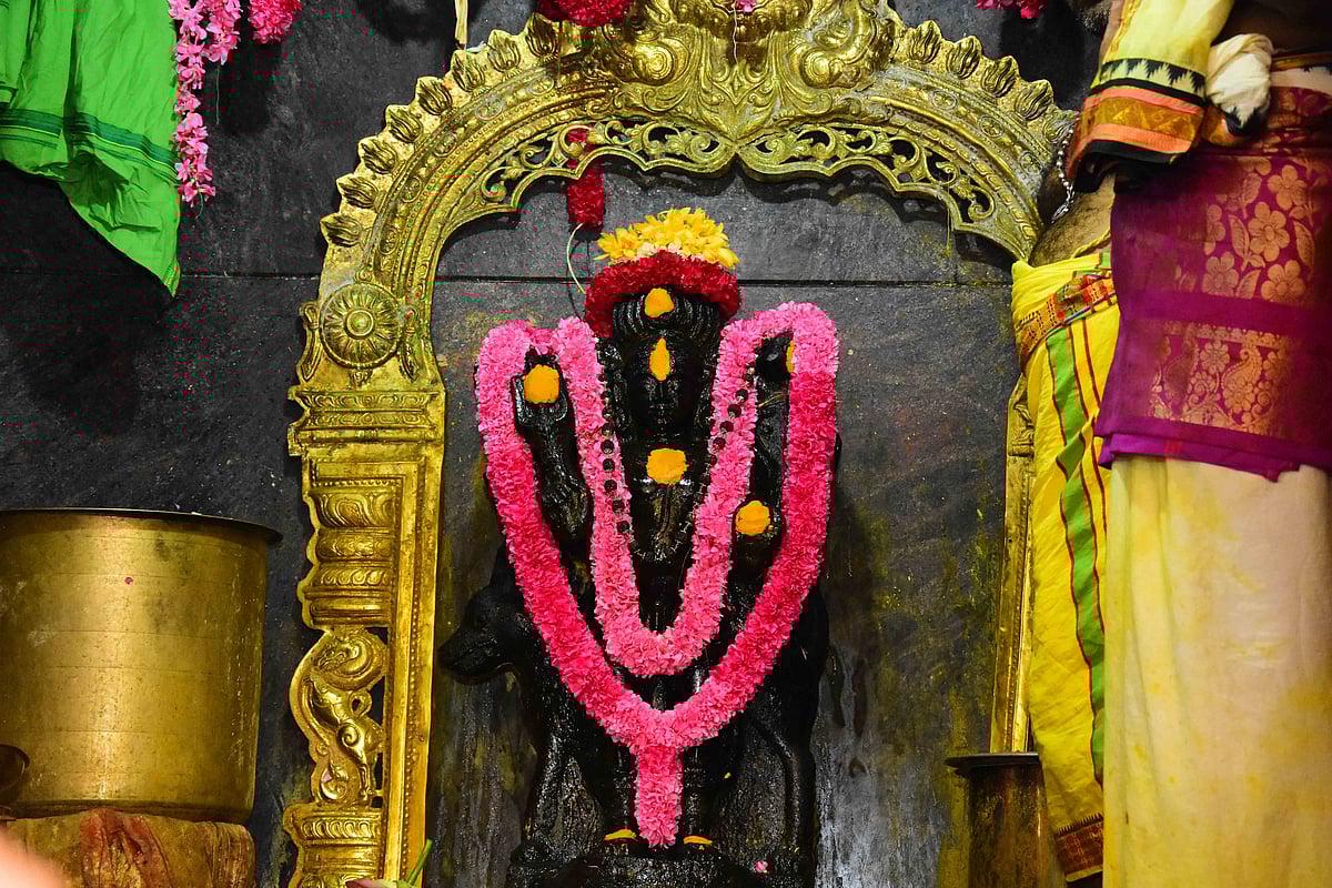 தாடிக்கொம்பு: தேய்பிறை அஷ்டமியில் பைரவருக்கு விசேஷ அபிஷேகம்