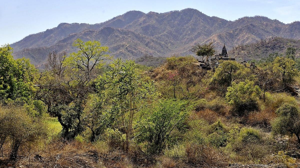 ஆரவல்லி