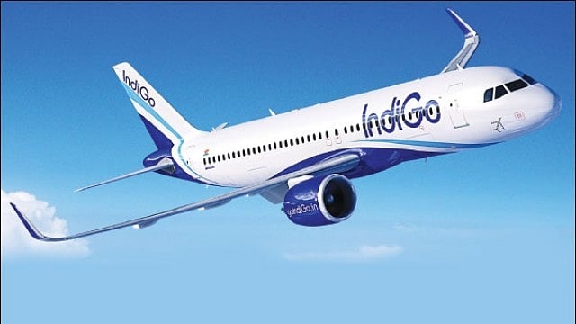 இண்டிகோ