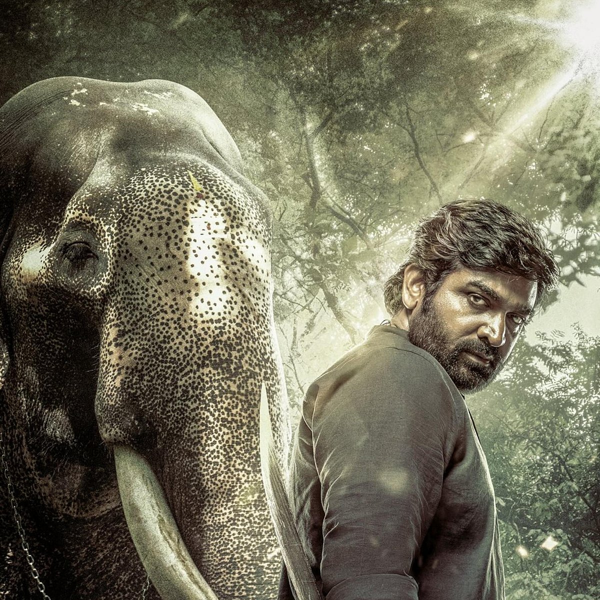 Kaattaan Web Series